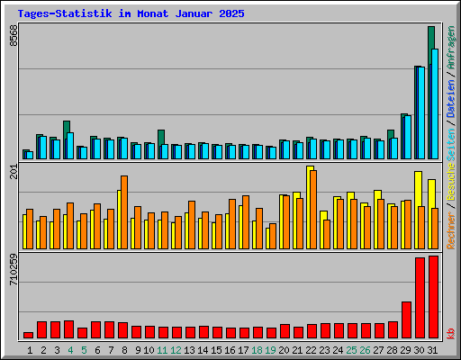 Tages-Statistik im Monat Januar 2025