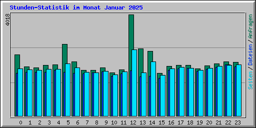 Stunden-Statistik im Monat Januar 2025