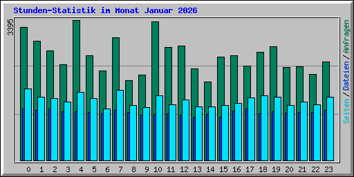 Stunden-Statistik im Monat Januar 2026